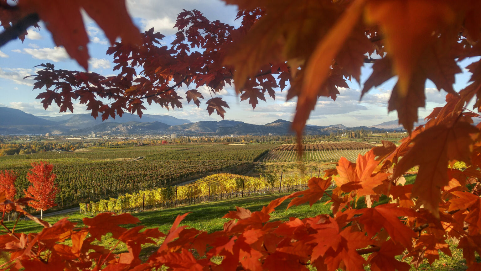 5 Reasons to Move to Kelowna Trailhead at the Ponds Kelowna