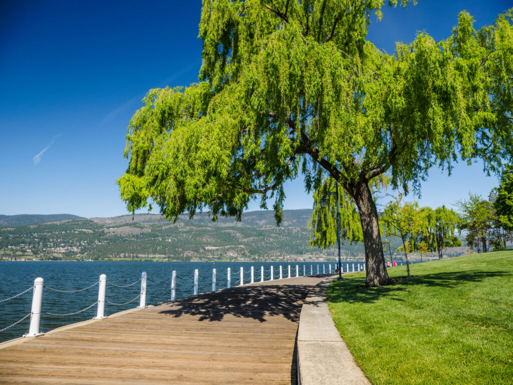 5 Reasons to Move to Kelowna Trailhead at the Ponds Kelowna